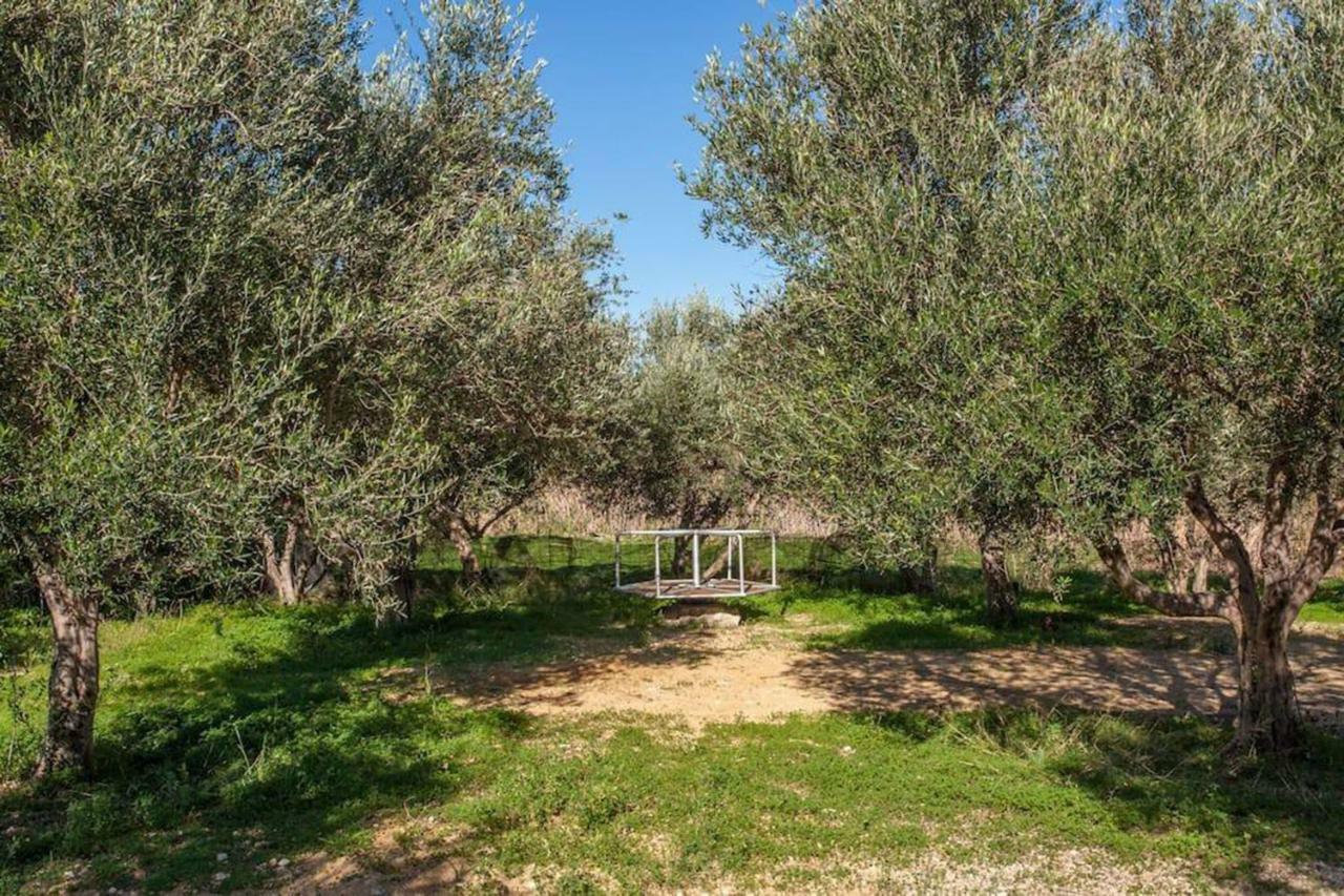 Olive Tree Farm 200M From The Beach Episkopi  Luaran gambar