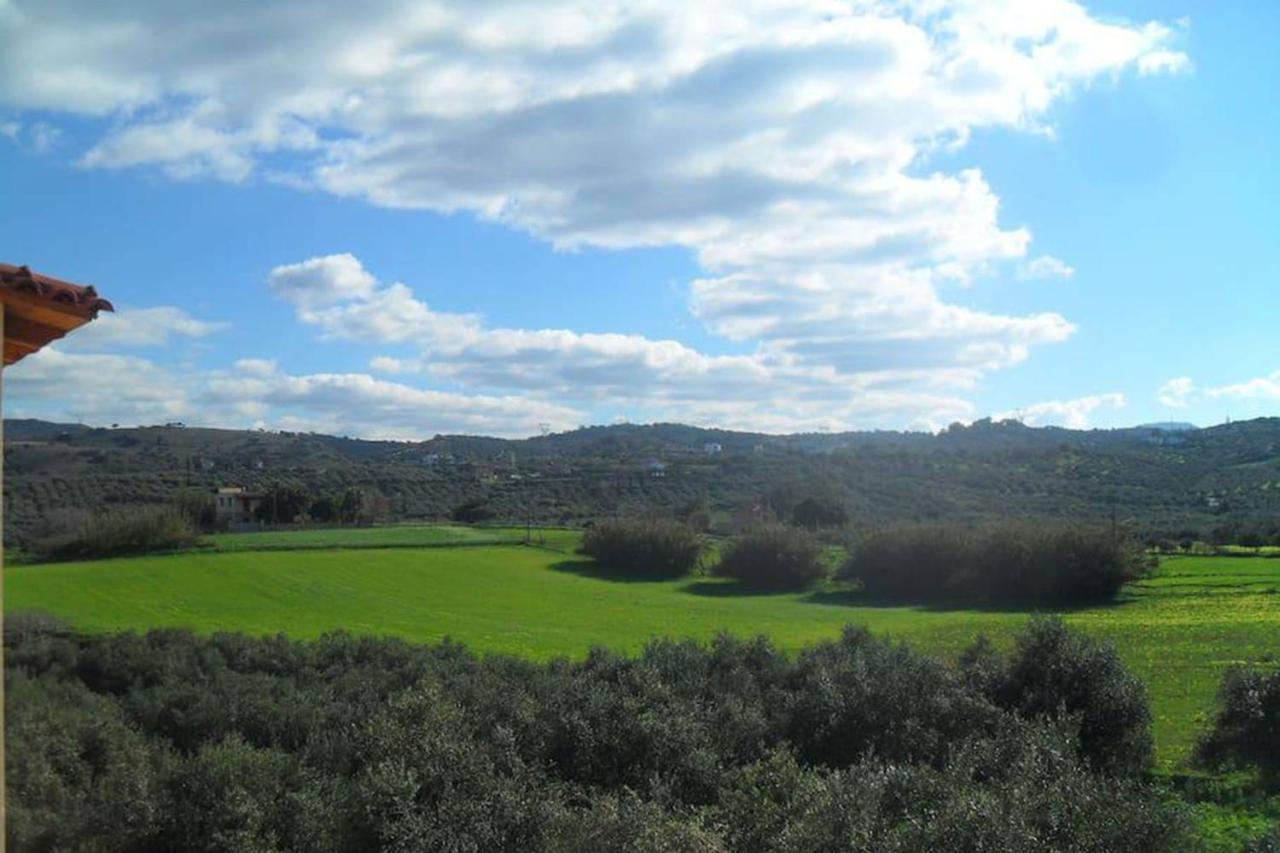 Olive Tree Farm 200M From The Beach Episkopi  Luaran gambar