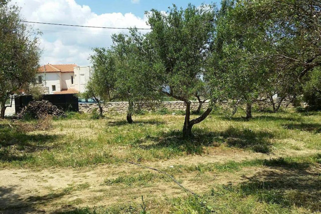 Olive Tree Farm 200M From The Beach Episkopi  Luaran gambar